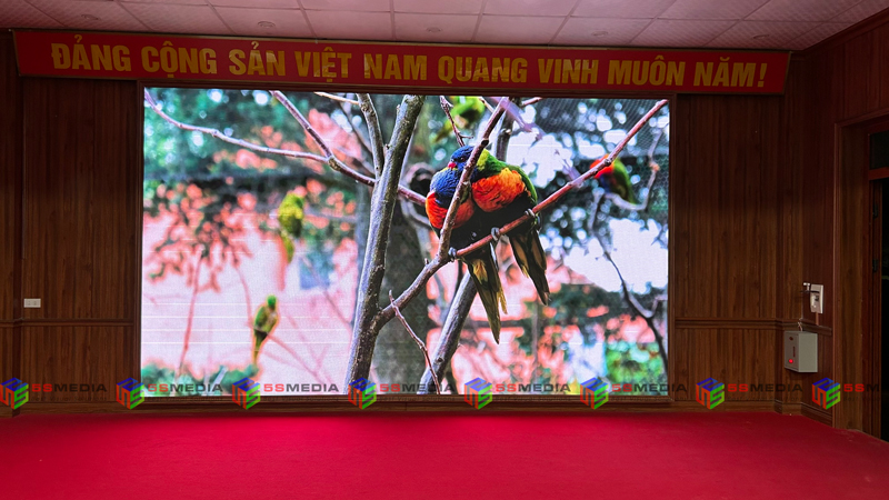 man hinh led p2 nam trieu 1