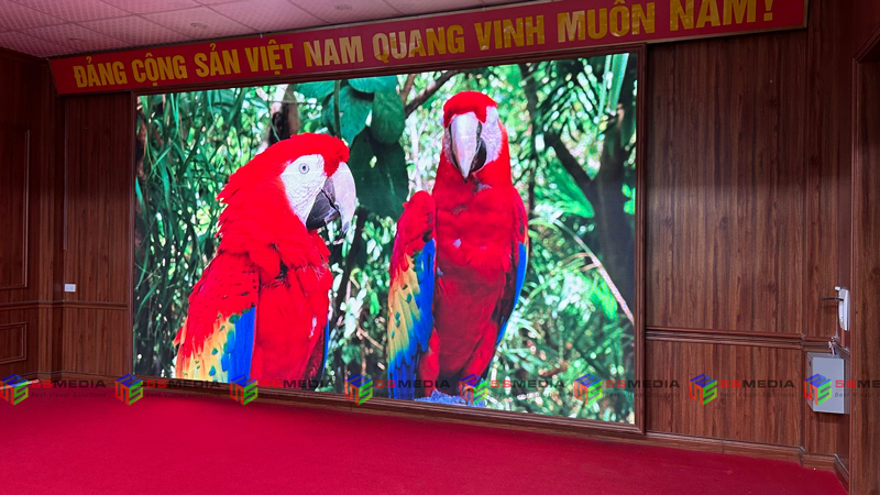 man hinh led p2 nam trieu